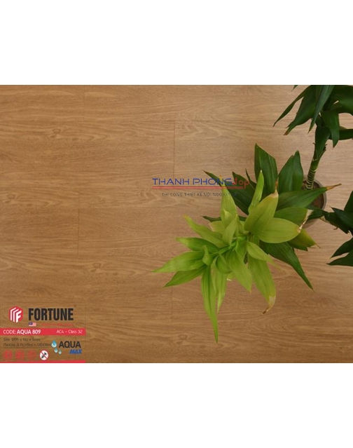 Sàn gỗ Fortune Aqua 809